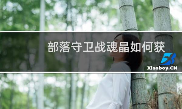 部落守卫战魂晶如何获取，如何升级