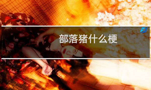 部落豬什么梗