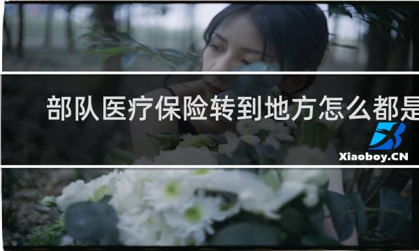 部队医疗保险转到地方怎么都是0图片