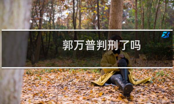 郭万普判刑了吗（郭万普到底是什么人郭文思减刑案涉案人员）