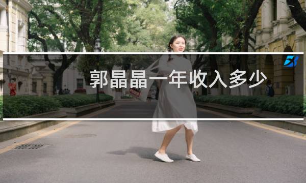 郭晶晶一年收入多少