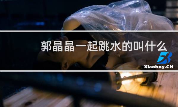 郭晶晶一起跳水的叫什么