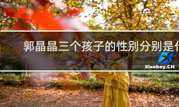 郭晶晶三个孩子的性别分别是什么