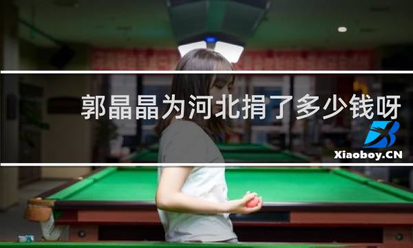 郭晶晶为河北捐了多少钱呀