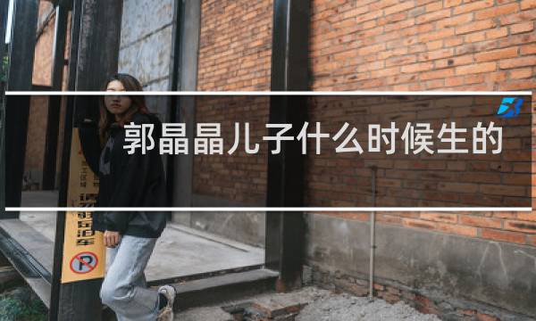 郭晶晶儿子什么时候生的