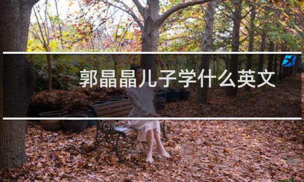 郭晶晶儿子学什么英文