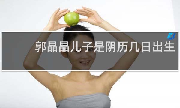 郭晶晶儿子是阴历几日出生