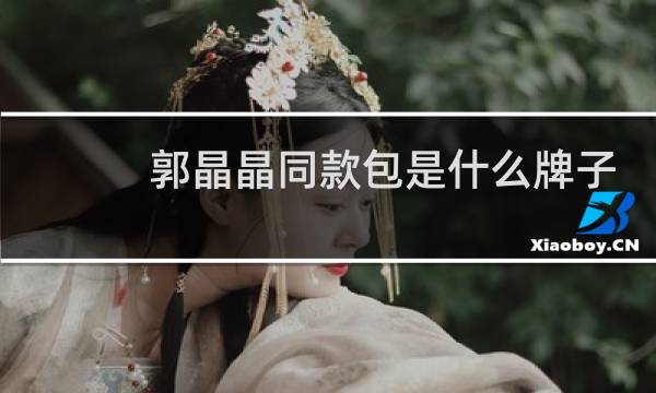郭晶晶同款包是什么牌子