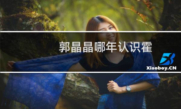 郭晶晶哪年认识霍