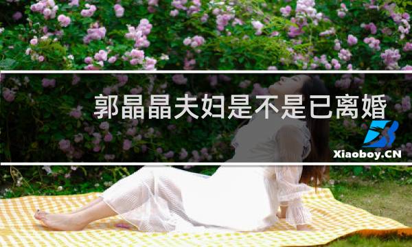 郭晶晶夫妇是不是已离婚