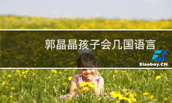 郭晶晶孩子会几国语言