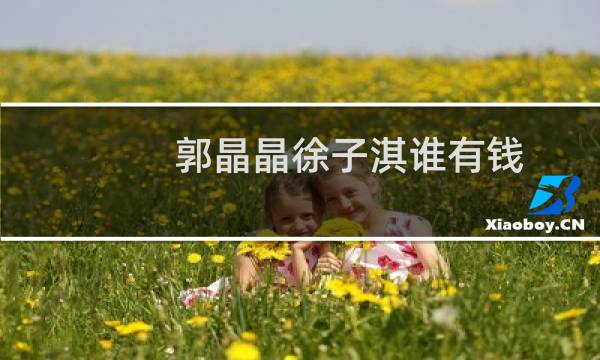 郭晶晶徐子淇谁有钱