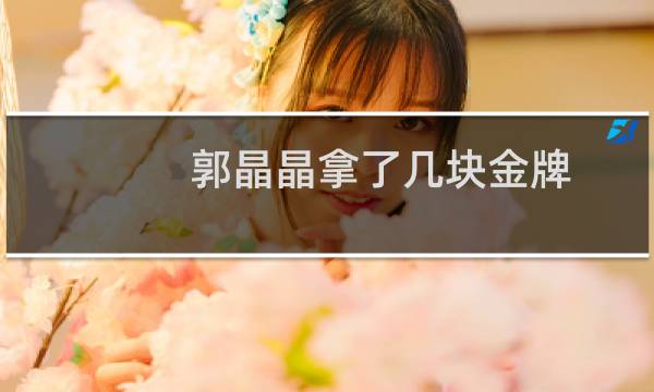 郭晶晶拿了几块金牌