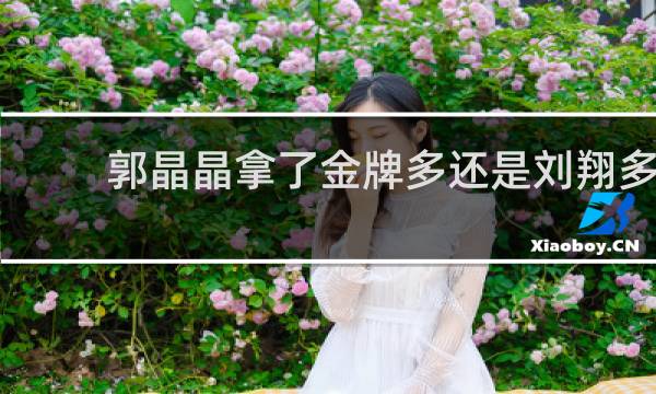 郭晶晶拿了金牌多还是刘翔多
