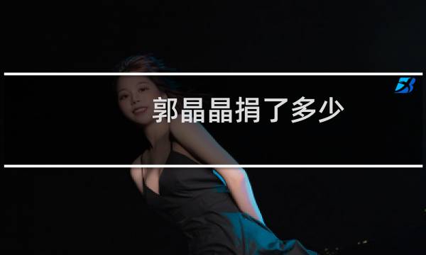 郭晶晶捐了多少