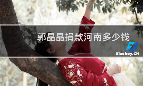 郭晶晶捐款河南多少钱