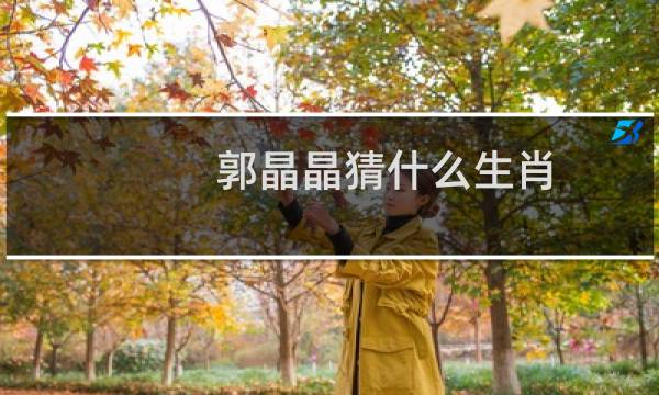 郭晶晶猜什么生肖