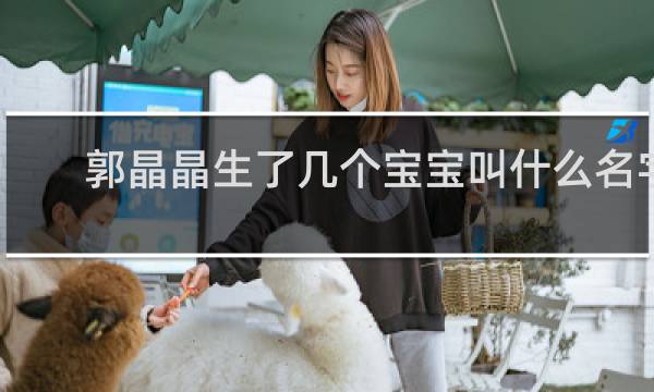 郭晶晶生了几个宝宝叫什么名字