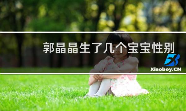 郭晶晶生了几个宝宝性别