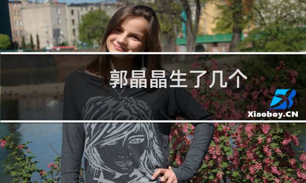 郭晶晶生了几个