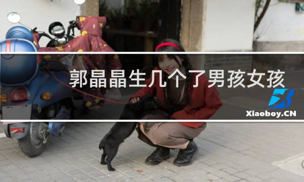 郭晶晶生几个了男孩女孩