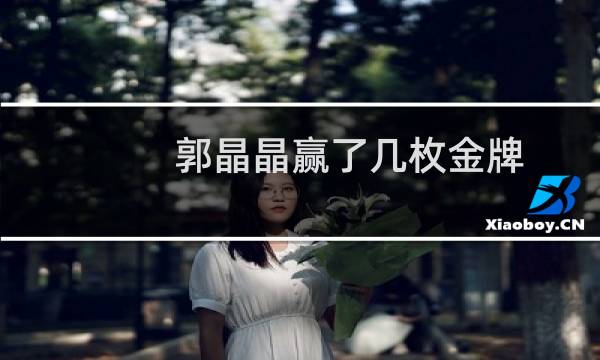 郭晶晶赢了几枚金牌