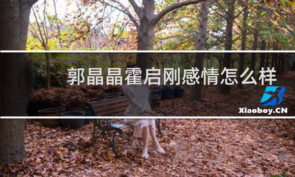 郭晶晶霍启刚感情怎么样