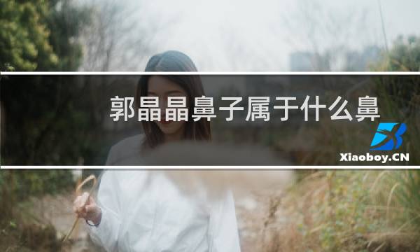 郭晶晶鼻子属于什么鼻