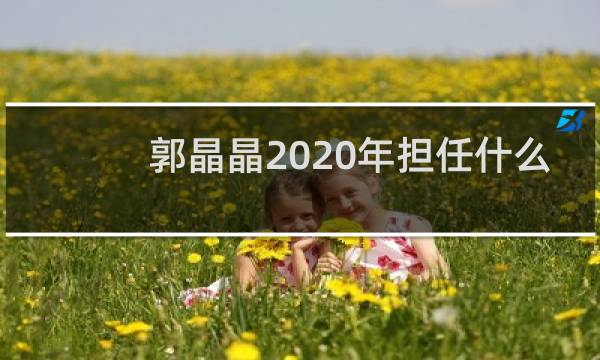 郭晶晶2020年担任什么
