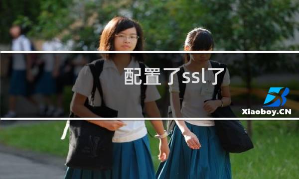 配置了ssl了 但是访问https提示有风险