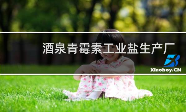 酒泉青霉素工业盐生产厂家图片