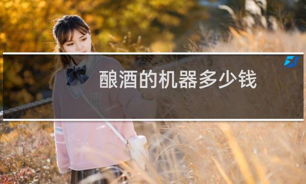 酿酒的机器多少钱图片