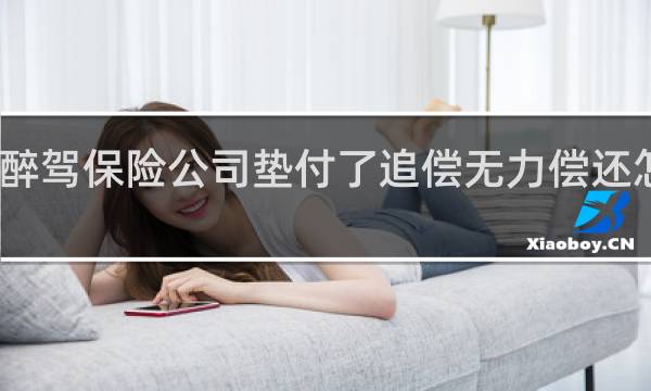 醉驾保险公司垫付了追偿无力偿还怎么办