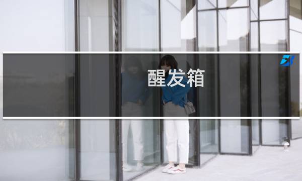 醒发箱