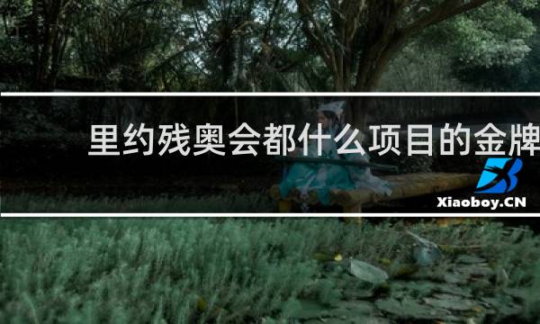 里约残奥会都什么项目的金牌