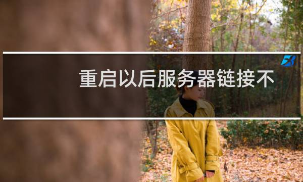 重启以后服务器链接不上-云服务器问题