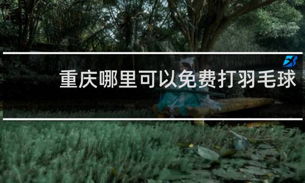 重庆哪里可以免费打羽毛球