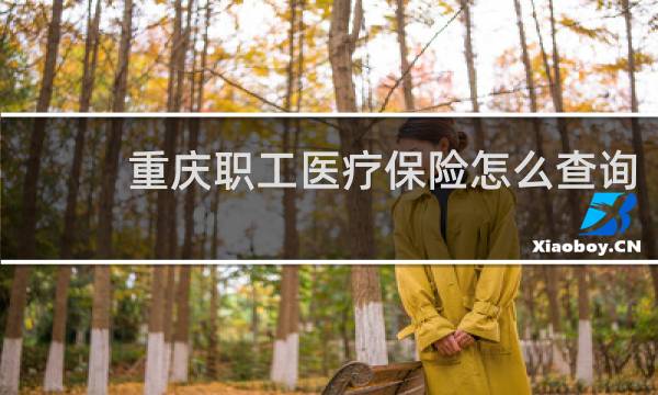 重庆职工医疗保险怎么查询