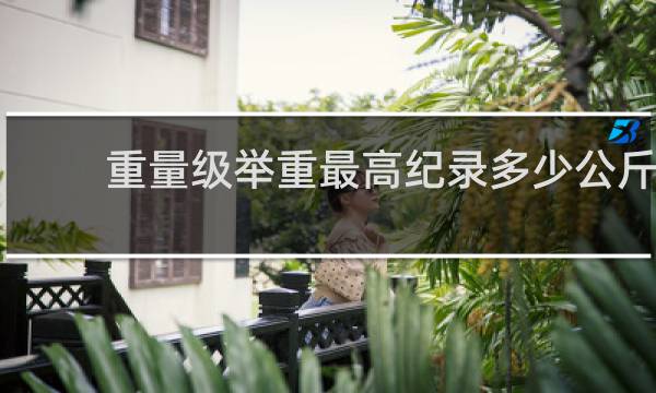 重量级举重最高纪录多少公斤