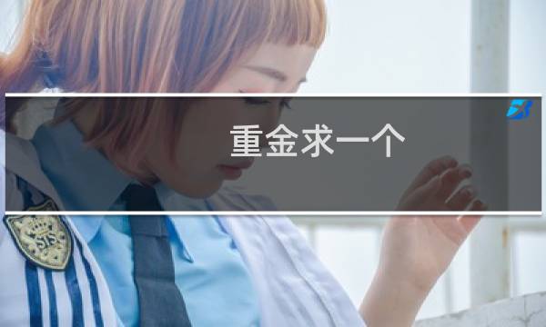 重金求一个/一双没看过xxx的脑子/眼睛什么梗