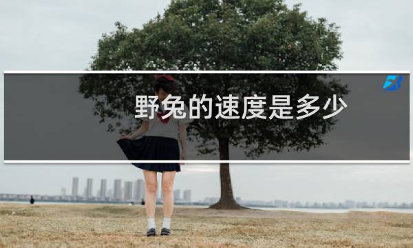 野兔的速度是多少