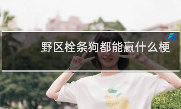 野区栓条狗都能赢什么梗？野区栓条狗都能赢是什么意思什么梗