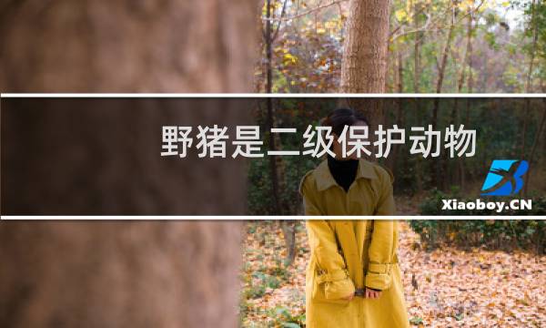 野猪是二级保护动物（野猪是二级保护动物吗）图片