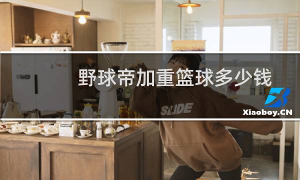 野球帝加重篮球多少钱