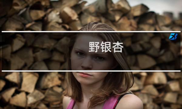 野银杏