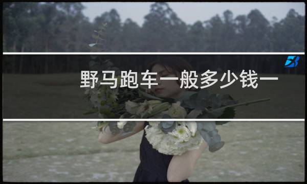 野马跑车一般多少钱一辆(野马跑车多少钱一辆最低价裸车只需要35万元)