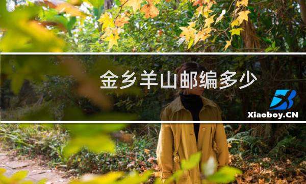 金乡羊山邮编多少