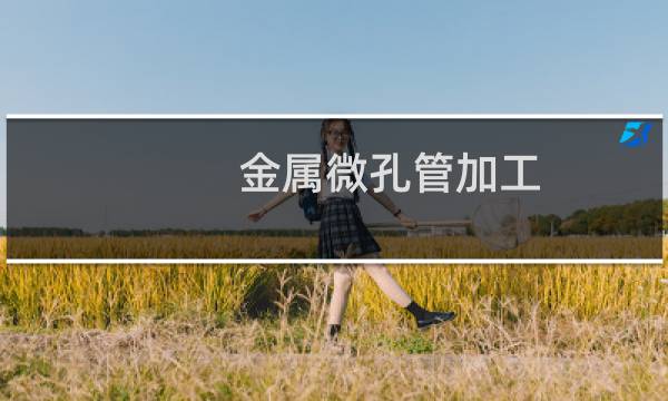 金属微孔管加工图片