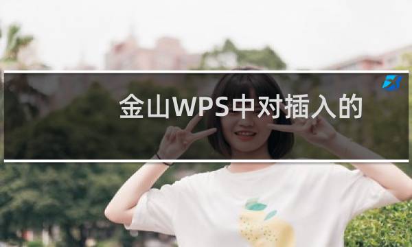 金山WPS中对插入的图片进行压缩的方法步骤
