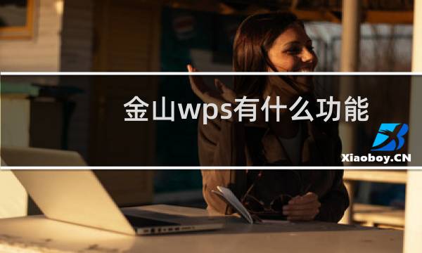金山wps有什么功能（金山WPS2010公测版新功能小结）